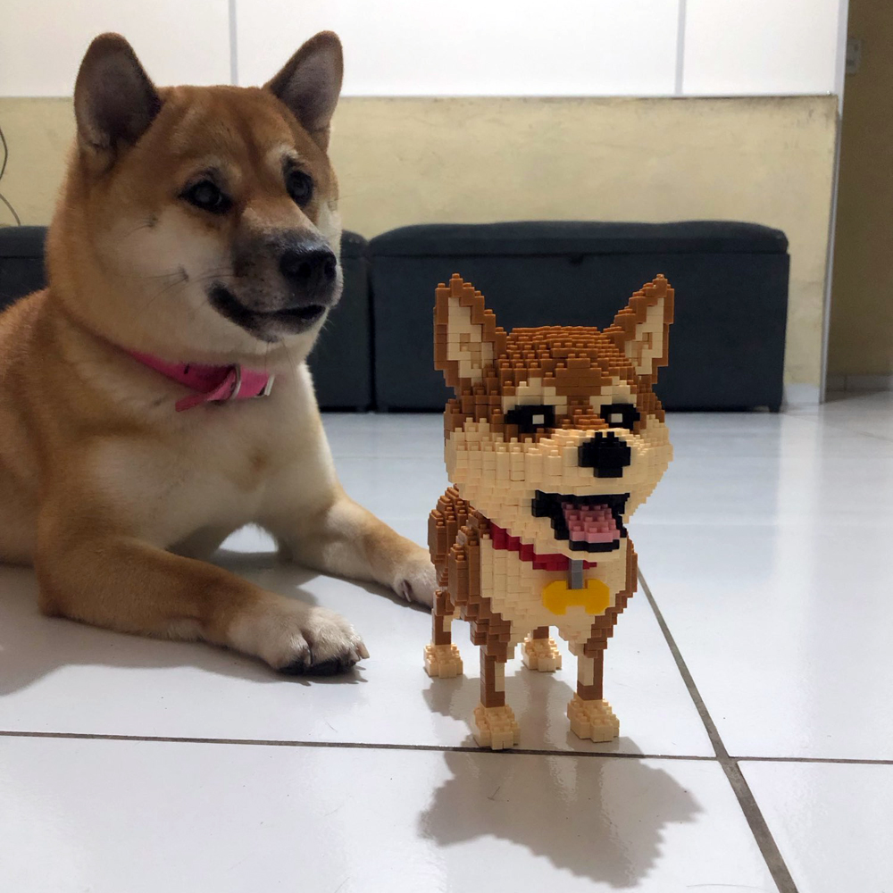 KNEW BUILT Shiba Inu Модель со – обзор и цена Kids Education Recreation