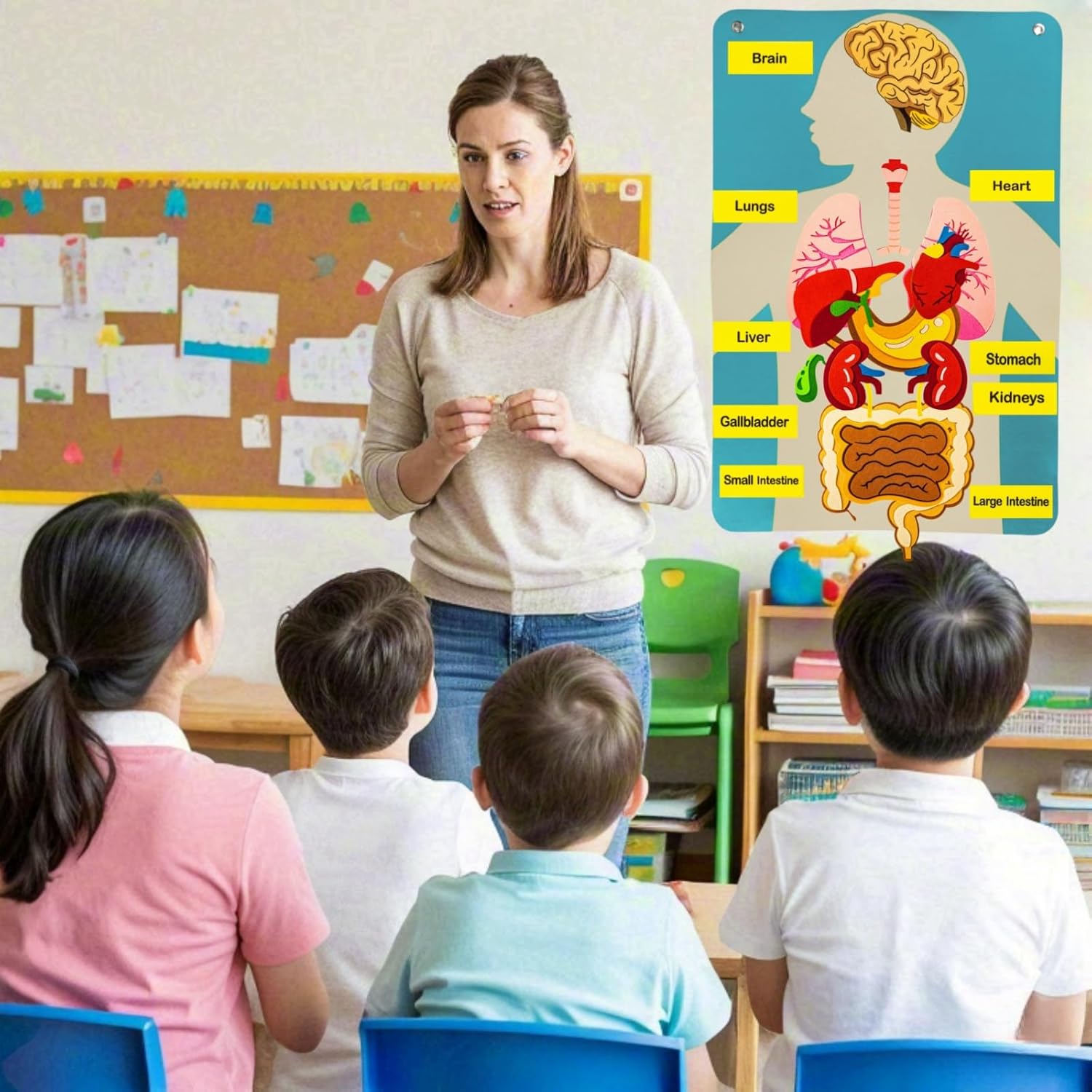 Детали человеческого тела, фет – обзор и цена Kids Education Story