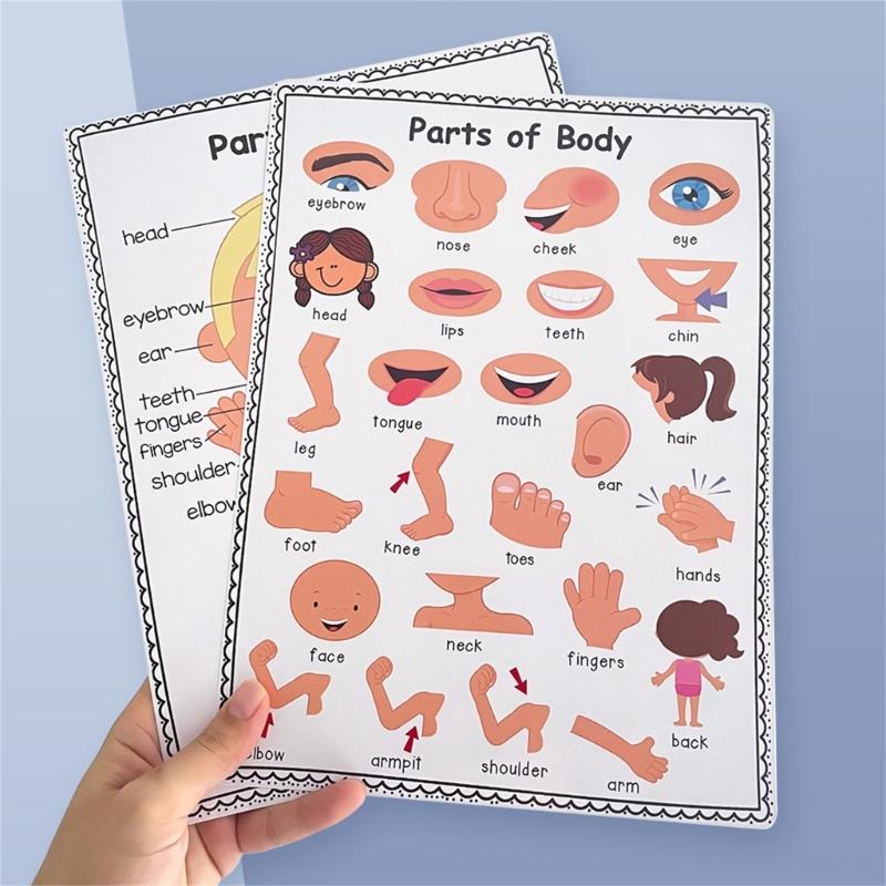 Забавная интерактивная диаграм – обзор и цена Kids Educational Poster
